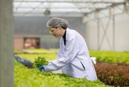 Photo for Hydroponic scientists expertly speed plant growth in a greenhouse setting by making use of pure solutions and samples, carefully controlled environmental conditions, and cutting-edge equipment. - Royalty Free Image