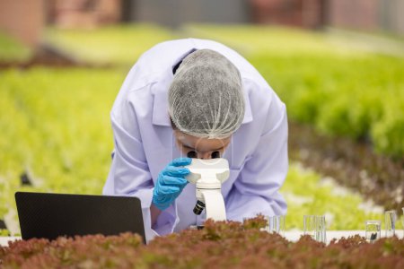 Photo for Hydroponic scientists and researchers do experiment using microscopes and magnifying glasses to analyze plant, greenhouse samples, utilizing biotechnology, biochemistry method for precise examination - Royalty Free Image