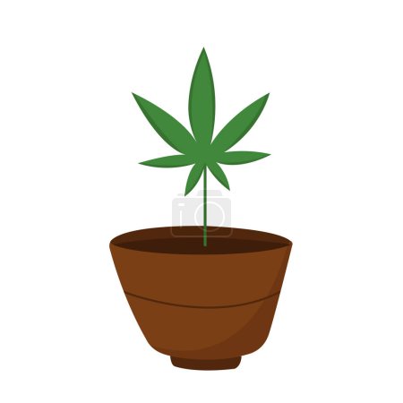 Illustration for Vector flat illustration of growing marijuana or cannabis in vase in farm. - Royalty Free Image