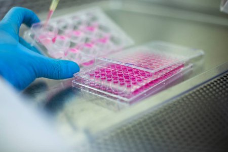 cultivo celular en el laboratorio de medicina y cultivo celular