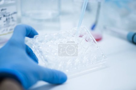 Photo for Cell culture at the medicine  medical and cell culture laboratory - Royalty Free Image
