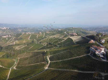 Photo for Landscapes of the Piedmontese Langhe photographed by drone from an aerial point of view and with autumn colours of the Piedmontese Langhe photographed by drone from an aerial point of view and with autumn colours - Royalty Free Image