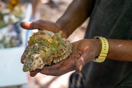 Foto de Diferentes conchas marinas en venta en un puesto en la playa de Nungwi, Zanzíbar, Tanzania - Imagen libre de derechos