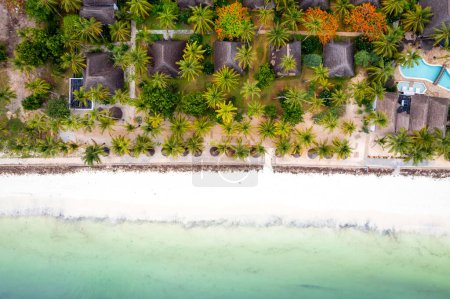 Foto de Zanzibar spectacular panorama beaches overlooking the ocean and a landscape full of palm trees - Imagen libre de derechos