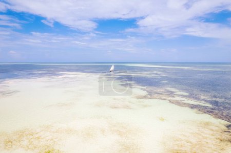 Photo for Zanzibar - Summer beach holidays with palm trees and blue ocean, a dream come true - Royalty Free Image