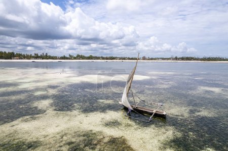 Foto de Zanzibar - Summer beach holidays with palm trees and blue ocean, a dream come true - Imagen libre de derechos