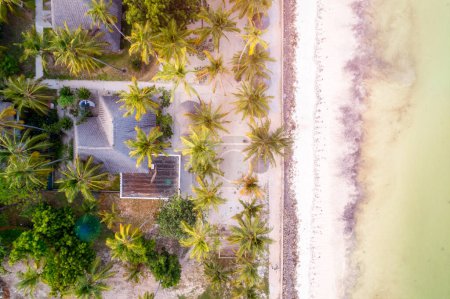 Foto de Zanzíbar espectaculares playas panorámicas con vistas al océano y un paisaje lleno de palmeras - Imagen libre de derechos