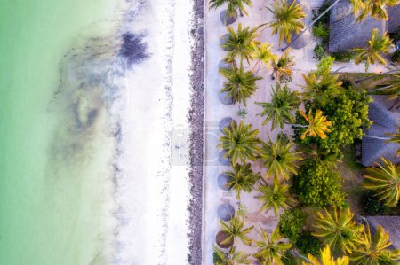 Foto de Zanzíbar - Vacaciones de verano en la playa con palmeras y océano azul, un sueño hecho realidad - Imagen libre de derechos