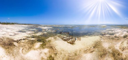 Foto de Zanzibar - Summer beach holidays with palm trees and blue ocean, a dream come true - Imagen libre de derechos