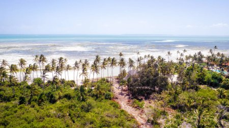 Foto de Increíble playa africana Kiwengwa con palmeras y horizonte en el fondo, Zanzíbar, África - Imagen libre de derechos