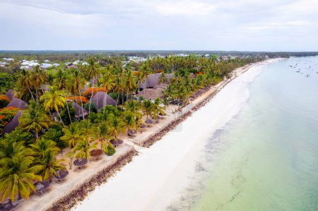 Foto de Zanzibar beach with palm trees and plenty of sunshine - a true tropical paradise - Imagen libre de derechos