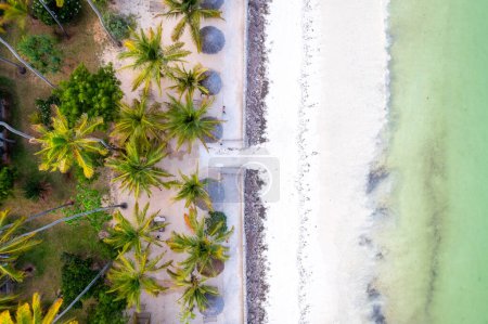Foto de Zanzíbar es un verdadero oasis para las vacaciones, y la playa parece un paraíso gracias a los días soleados y las palmeras. - Imagen libre de derechos