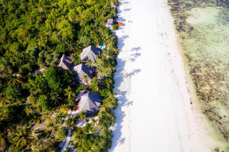 Foto de Zanzibar is a paradise for everyone who is looking for a holiday on a long sandy beach under palm trees. - Imagen libre de derechos