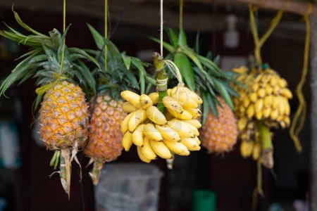 Foto de Colorful fruits on display at a bustling Zanzibar fruit stand are a treat for the senses. From sweet pineapples to fragrant mangos, there's a flavor for everyone. Visit Zanzibar's fruit markets for a taste of local culture. - Imagen libre de derechos