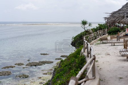 Foto de Zanzibar beach with palm trees and plenty of sunshine - a true tropical paradise - Imagen libre de derechos