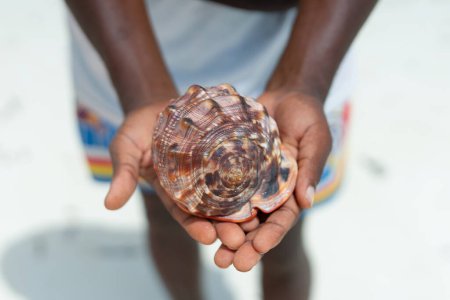 Foto de This photo was taken on holiday in Zanzibar, showing a hand holding a beautiful seashell. In the background you can see the sky, which is illuminated by the sun, which adds even more warmth to this already summer vibe. - Imagen libre de derechos