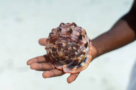 Foto de Esta foto fue tomada de vacaciones en Zanzíbar, mostrando una mano sosteniendo una hermosa concha marina. En el fondo se puede ver el cielo, que está iluminado por el sol, lo que añade aún más calor a este ambiente ya de verano. - Imagen libre de derechos