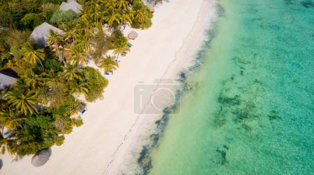 Photo for This aerial photo of Kiwengwa Beach in Zanzibar showcases the stunning natural beauty of the island, with its golden sand, turquoise waters, and lush foliage creating the perfect backdrop for a relaxing vacation. - Royalty Free Image
