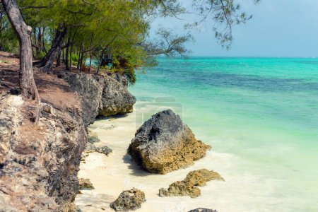 Téléchargez les photos : Perdez-vous dans la nature magnifique de Kiwengwa Beach, Zanzibar, Tanzanie avec une vue panoramique à couper le souffle d'en haut - en image libre de droit