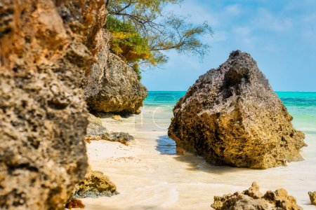 Photo for The stunning beauty of Zanzibar Beach has made it a popular destination for artists and photographers looking to capture its picturesque landscape. - Royalty Free Image