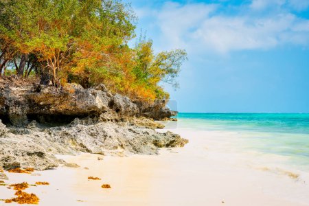 Photo for The white sandy beaches of Zanzibar are the ideal spot for spending lazy Zanzibar beach summers. - Royalty Free Image