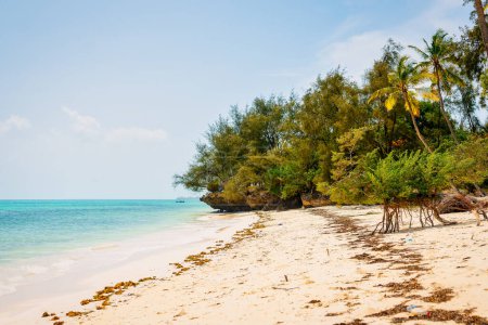 Téléchargez les photos : Le temps chaud et les eaux calmes font de la plage de Zanzibar une destination populaire pour les amateurs de sports nautiques. - en image libre de droit