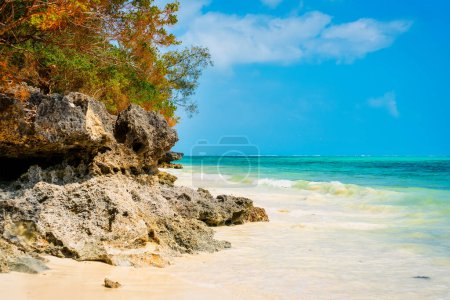 Foto de El clima cálido y las aguas tranquilas hacen de los veranos de playa de Zanzíbar un destino popular para los entusiastas de los deportes acuáticos. - Imagen libre de derechos