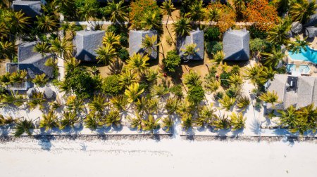 Téléchargez les photos : Les plages de sable blanc de Zanzibar sont l'endroit idéal pour passer les étés de plage paresseux de Zanzibar. - en image libre de droit