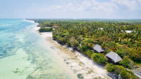 Téléchargez les photos : Le paysage tropical de l'île de Zanzibar est rempli de couleurs vives, de flore exotique et d'une faune unique. - en image libre de droit