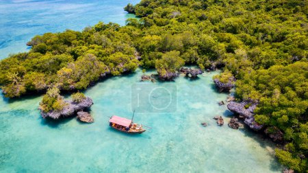 Téléchargez les photos : La brise rafraîchissante de la mer pendant les étés de plage de Zanzibar est un répit bienvenu de la chaleur. - en image libre de droit