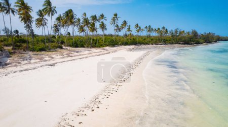 Téléchargez les photos : Le paysage tropical de l'île de Zanzibar est rempli de couleurs vives, de flore exotique et d'une faune unique. - en image libre de droit
