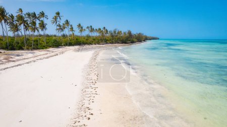 Téléchargez les photos : La brise rafraîchissante de la mer pendant les étés de plage de Zanzibar est un répit bienvenu de la chaleur. - en image libre de droit