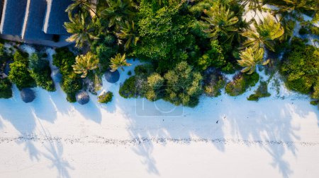 Photo for A gorgeous tropical beach with white sand, palm trees, turquoise ocean against a blue sky with clouds on a sunny summer day. The perfect backdrop for a relaxing vacation, Zanzibar Island. - Royalty Free Image