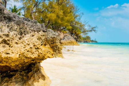 Foto de Desde arriba, se puede ver la impresionante belleza de las playas de arena de Zanzíbar, adornadas con palmeras, sombrillas, arena blanca y las aguas cristalinas del Océano Índico.. - Imagen libre de derechos