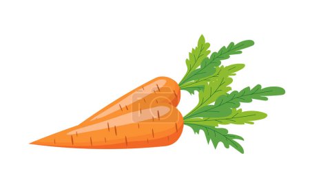 Zanahoria en estilo plano sobre fondo blanco