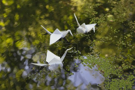 Téléchargez les photos : Close up origami cranes floating on water concept photo. Springtime. Orizuru on lake. Front view photography with blurred background. High quality picture for wallpaper, travel blog, magazine, article - en image libre de droit