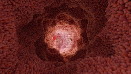 Foto de Helicobacter pylori ilustración bacteria microaerofílica que infecta varias áreas del estómago y el duodeno. superficie de microvellosidades. bacterias y viruse. 3d renderizar - Imagen libre de derechos