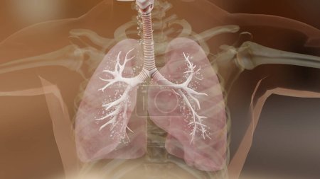 Téléchargez les photos : Illustration 3d des symptômes d'asthme, traitement, bronchiole, inhalateur d'asthme, attaque asthmatique, rendu 3d - en image libre de droit
