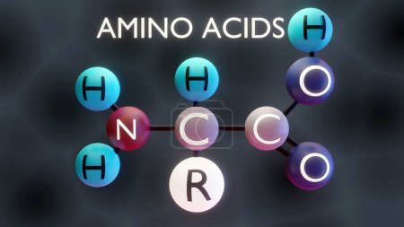 Estructura molecular de aminoácidos, ilustración 3d