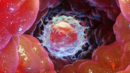 Téléchargez les photos : Illustration 3d du type de lymphocyte Leucocytes, globules blancs, rendu 3d - en image libre de droit