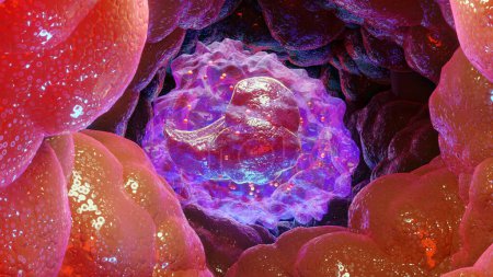 Foto de Ilustración 3d del tipo de monocito Células leucocitarias, glóbulos blancos, 3d render - Imagen libre de derechos