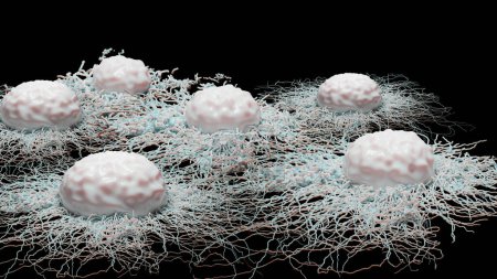 Photo for Cancer cell growth uncontrollably over tissue, Tumor infection cells and spreading, Invasive inflammation metastasis cancerous. reproduce by duplicating, cells expanding, Melanoma Cancer, 3d render - Royalty Free Image