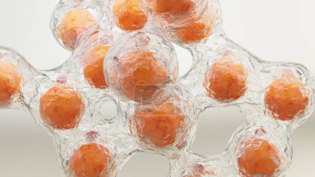 Fettzellen, Fettzellen und Lipozyten, Cholesterin in einer Zelle, 3D-Render