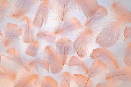 Peach colored fluffy feathers texture. Color of the year 2024 background.