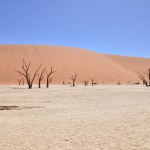 deadvlei sossusvlei Dry pan trees desert Sand dunde Namibia Africa. High quality photo