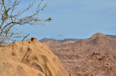 Photo for Terminte Hill in Namibia Africa Structure Background Detail. High quality photo - Royalty Free Image
