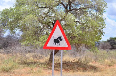 Foto de Atención Warthog Road Sign en Namibia África. Foto de alta calidad - Imagen libre de derechos
