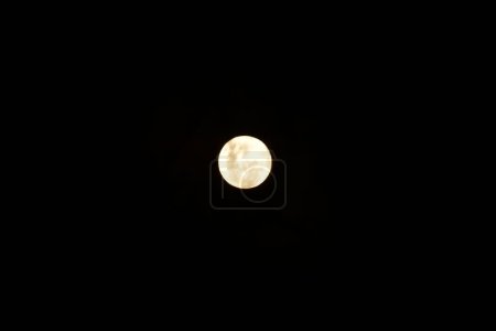 Foto de Full moon through Tree Dark Background. High quality photo - Imagen libre de derechos