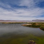 Salar de Pujsa atacama desert chile green water blue sky. High quality photo