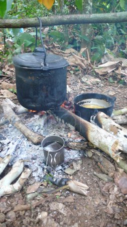 Téléchargez les photos : Campfire with Pot in bolivian Dschungle. High quality photo - en image libre de droit